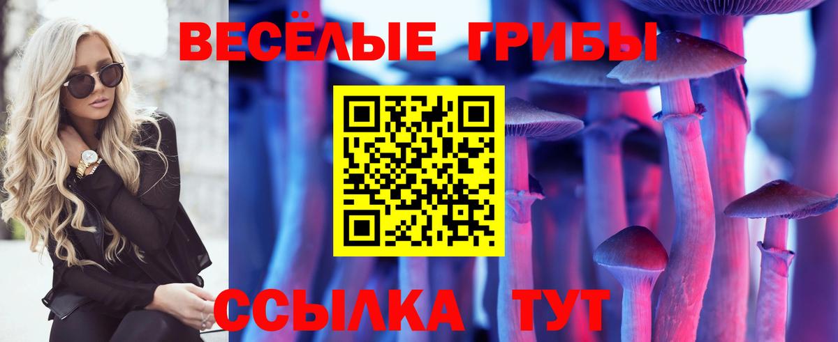 Псилоцибиновые грибы мицелий Борисоглебск
